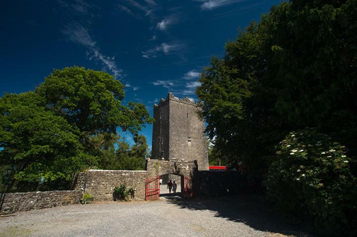 Ross Castle B&B Oldcastle 外观 照片