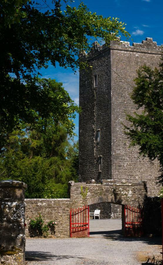 Ross Castle B&B Oldcastle 外观 照片